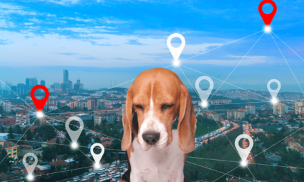 Best GPS Tracker for Dogs – Keep Your Pup Safe!