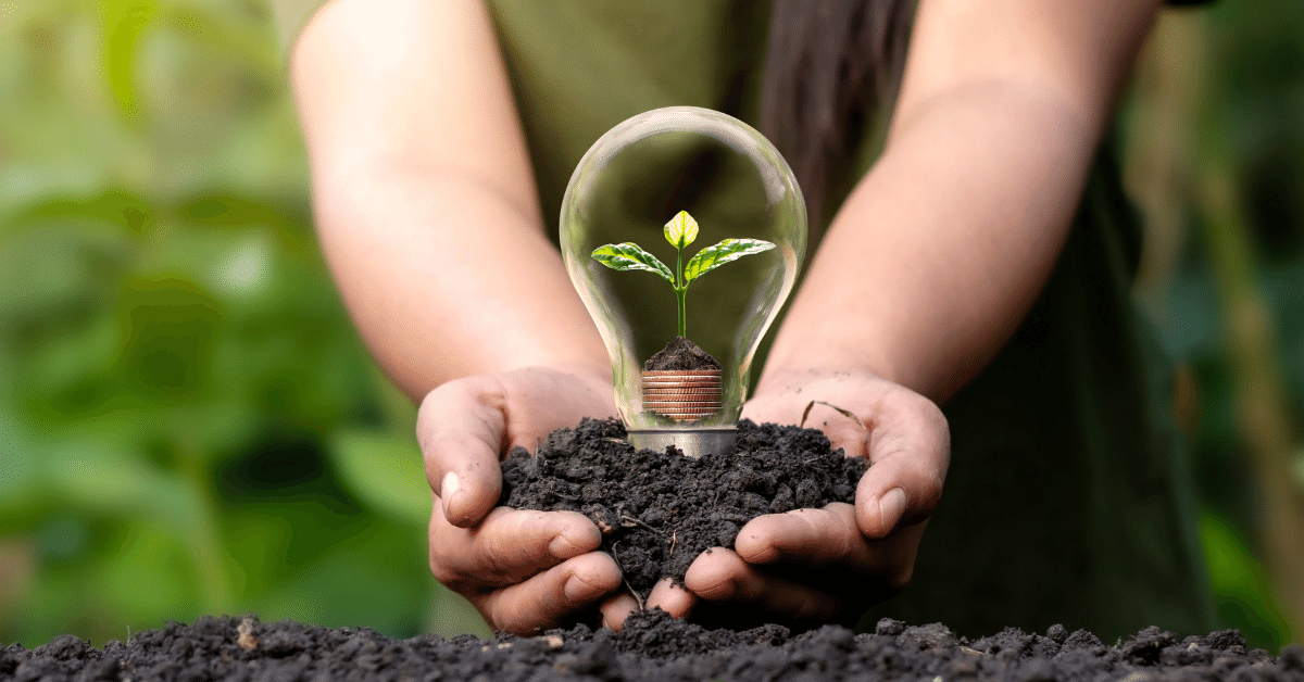 open hands holding dirt and a light bulb with a plant in it